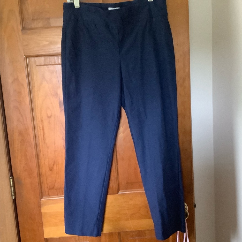 Charter Club navy pants